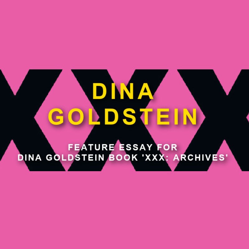 x on pink background with text Dina Goldstein feature essay for Archives book