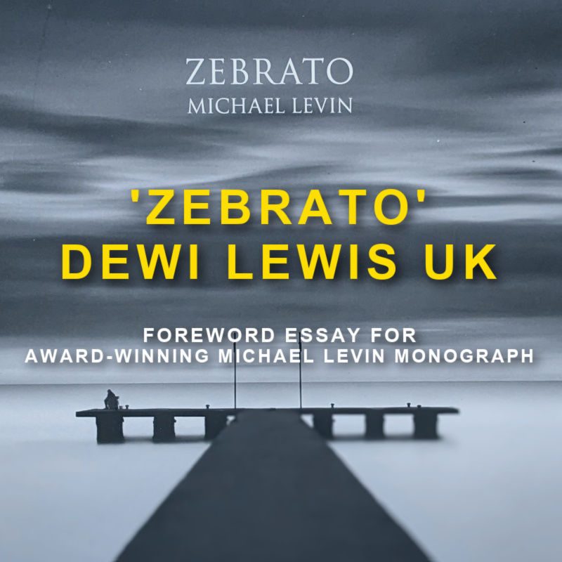 BCreative-Consulting-essay-for-fine-art-photographer-Michael-Levin-book-Zebrato -M